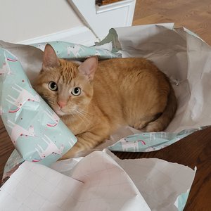 ProjectsShoppingList